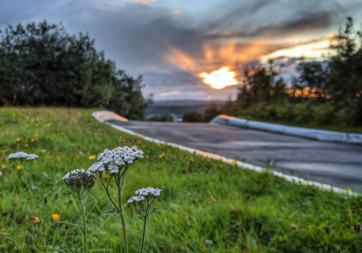 Осенняя романтика