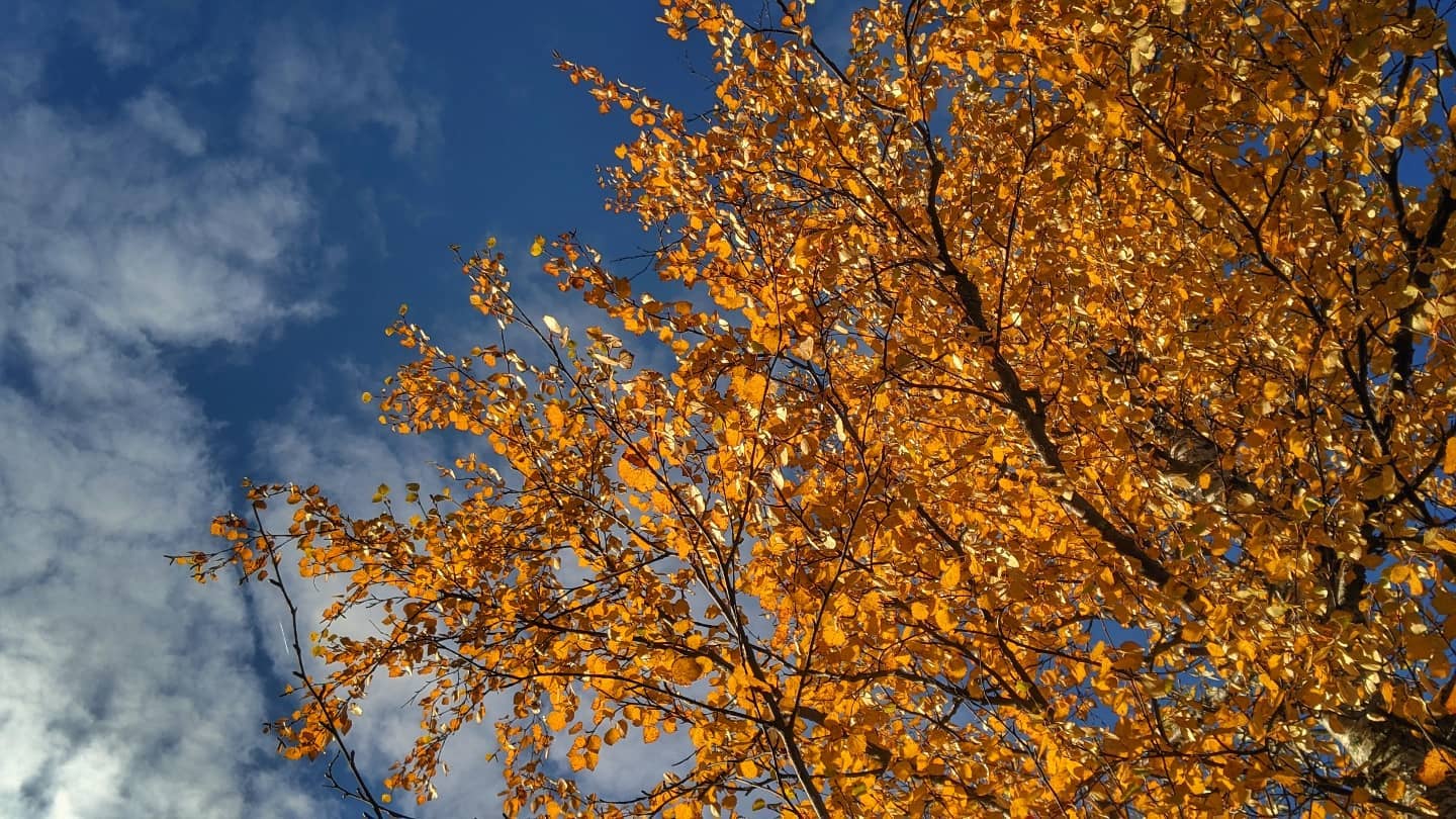 Осенняя красота Мурманска